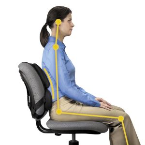 Cojín Lumbar Ergonómico Ultimate Professional Series™.8041801