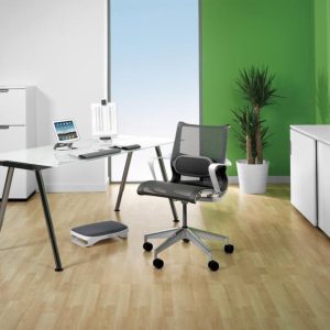 Cojín Lumbar I-Spire Series™Fellowes™.8042201